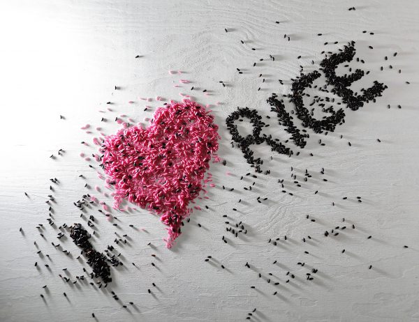 I LOVE RICE